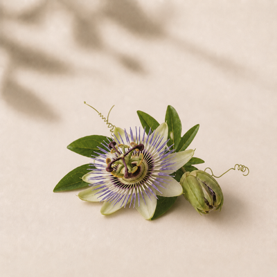 Passionflower